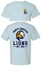Load image into Gallery viewer, Trinity Vintage Tee Collection
